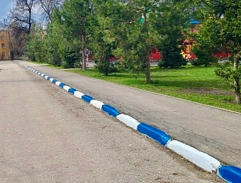 Тульский охранный союз принял участие в областном субботнике